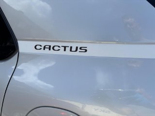 /photos/9945/ac934a62-fbbd-4ca0-be5e-5edadacb325a_i320x240.jpg